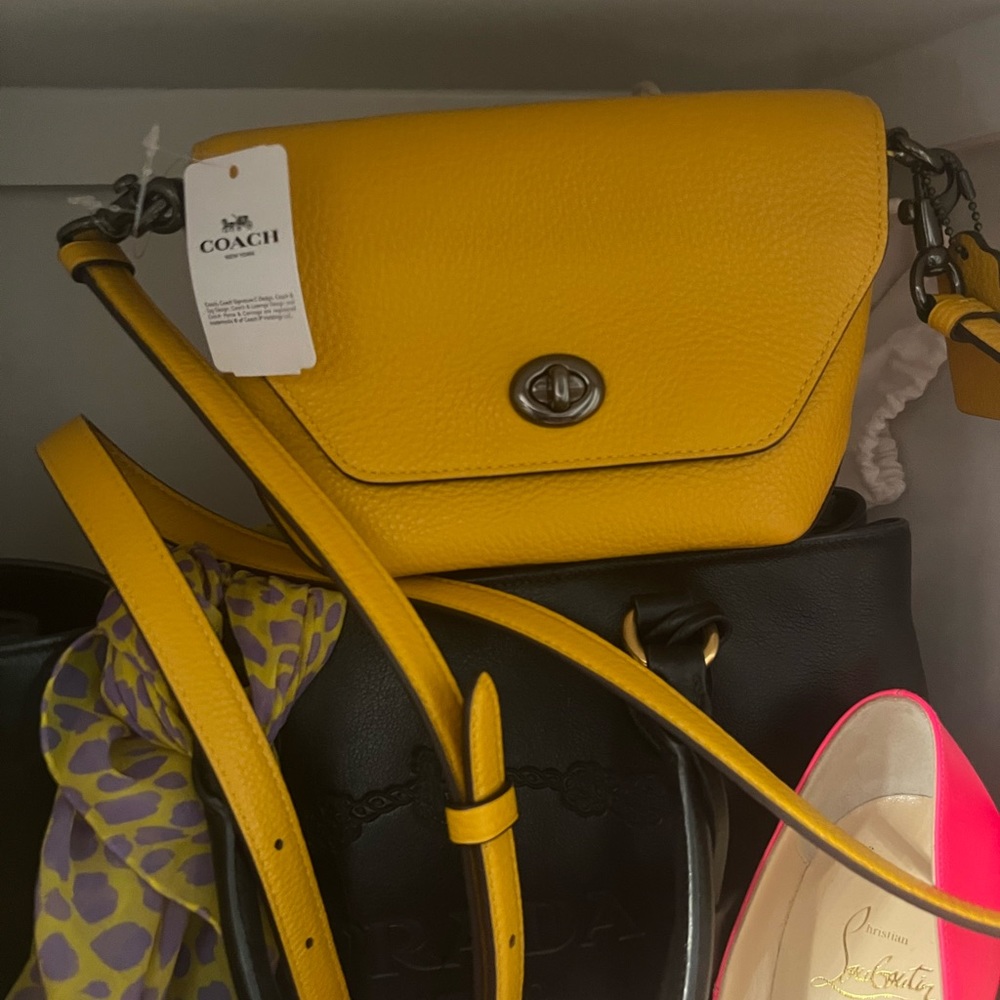 Coach cross body bag small